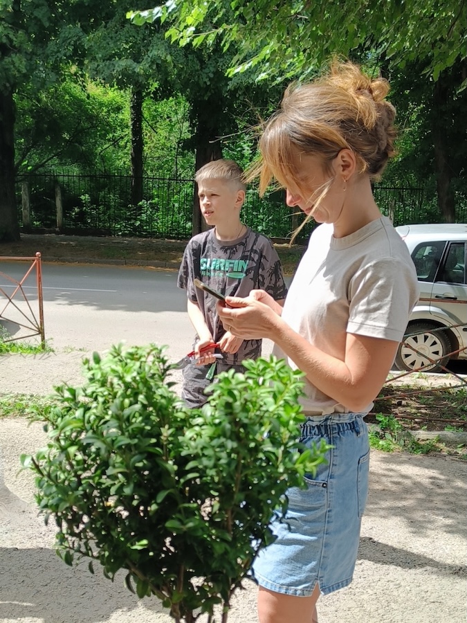 Майстер-клас з бонсаю 24